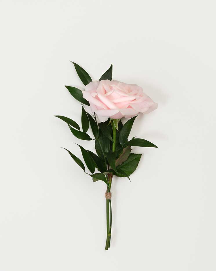 inspo-begravning-färg-blomma-handbukett-rosa-älskad.jpg